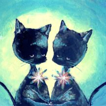 【作品について】星空と黒猫