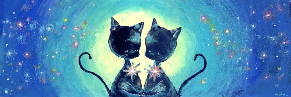 星空と黒猫